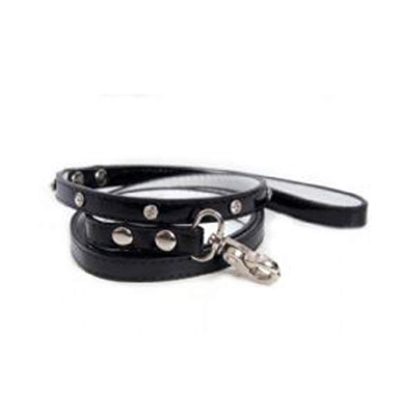 Dog Leads