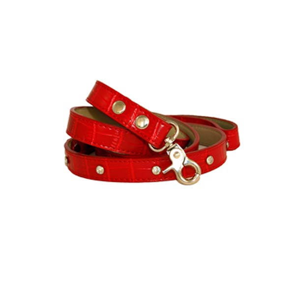 Dog Leads