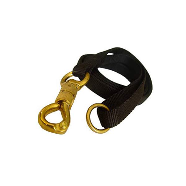 Dog Leads