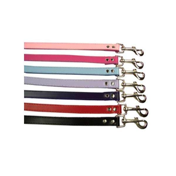 Dog Leads