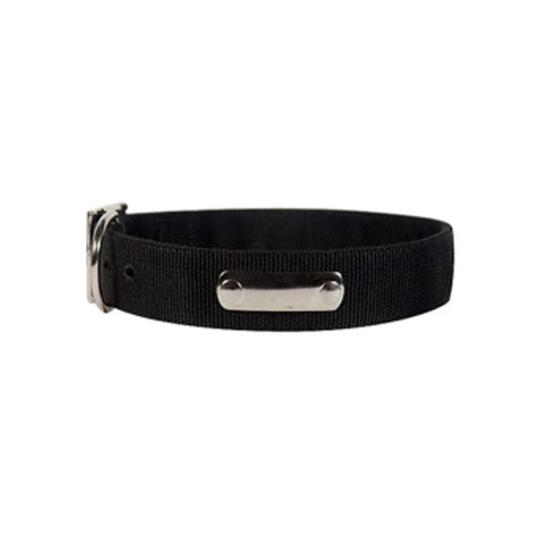 Dog Collars