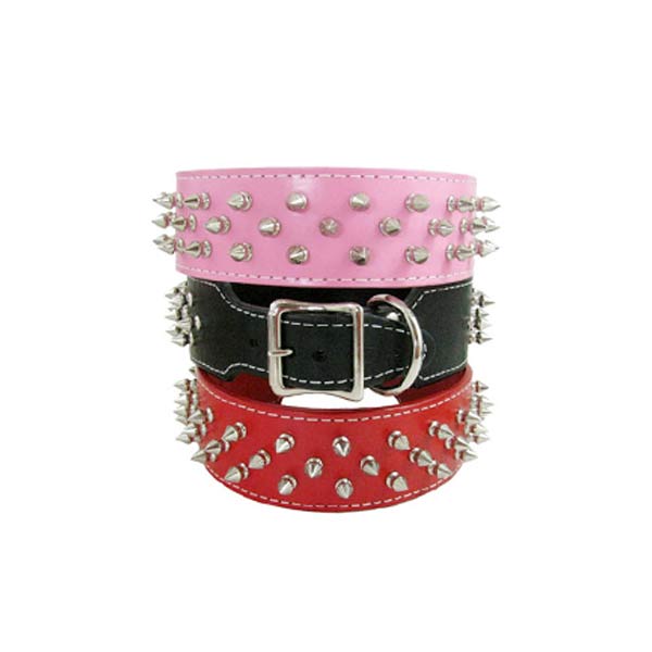 Dog Collars