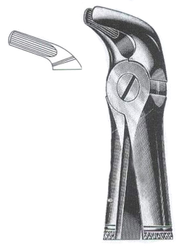 Lower Primolars