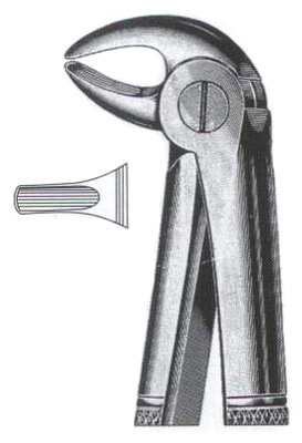 Lower Primolars