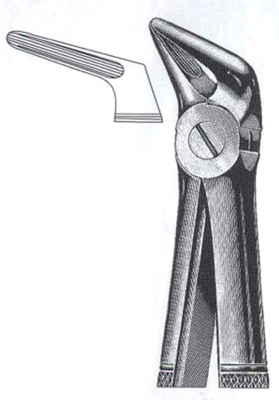 Lower Roots