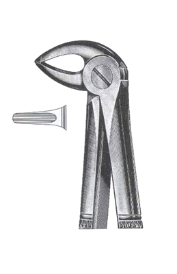 Lower Roots