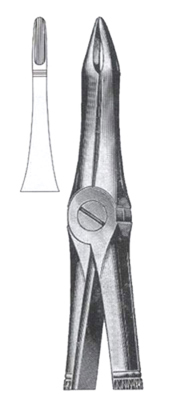 Upper Roots
