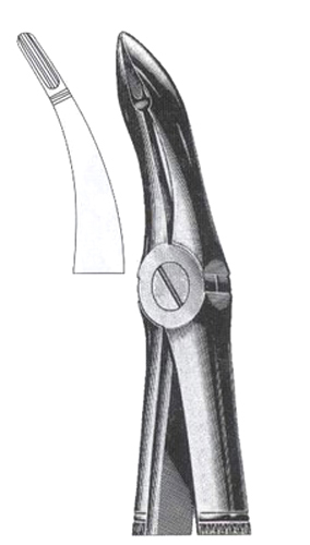 Upper Roots