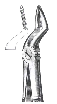 Upper Roots
