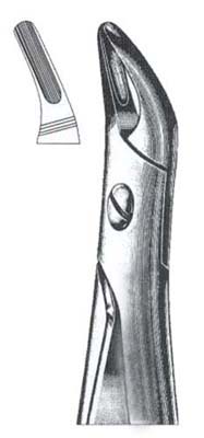 Upper Roots