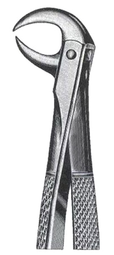 Lower Molars