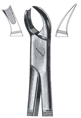 Left Upper Molars
