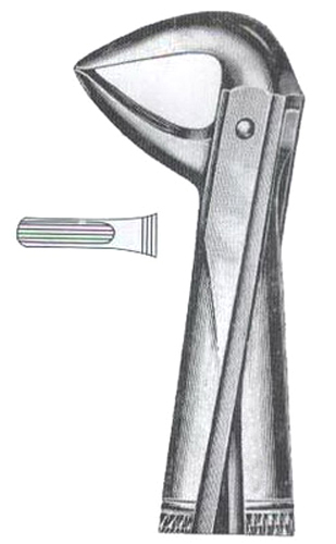 Lower Centrals & Roots