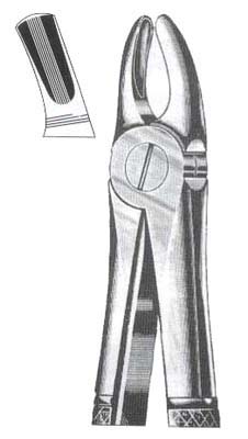 Upper Molars