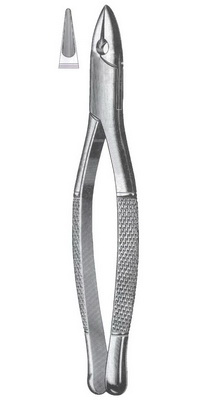 Upper upper centrals, laterals & cuspids
