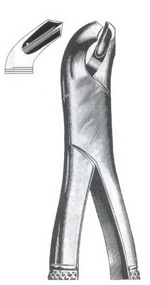 Lower molars