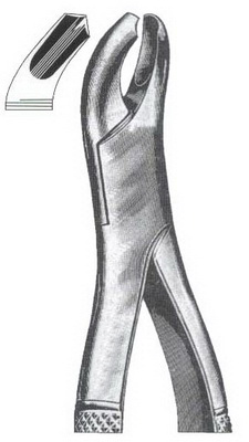 Upper molars right side