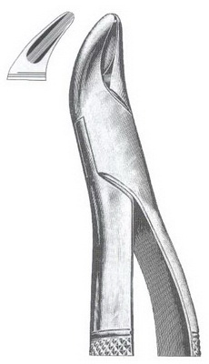 Tooth Extracting Forceps American Pattern