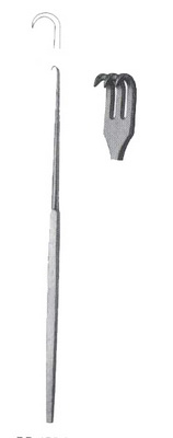 Small-Curve,-Sharp