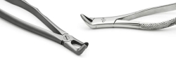 Dental Extraction Forceps