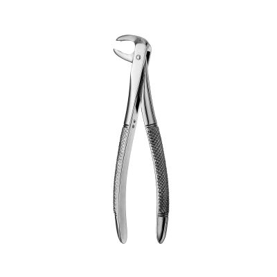 Dental Extraction Forceps
